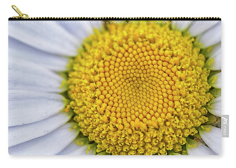 Daisy Zip Pouch featuring the photograph Daisy Detail in Color by Bob Decker