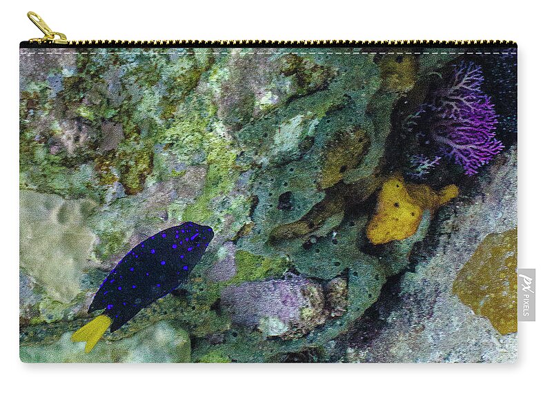Ocean Carry-all Pouch featuring the photograph Damsel, No Distress by Lynne Browne