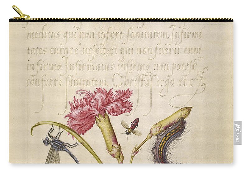 Joris Hoefnagel Zip Pouch featuring the painting Damselfly Carnation Firebug Caterpillar Carnelian Cherry and Centipede by Joris Hoefnagel