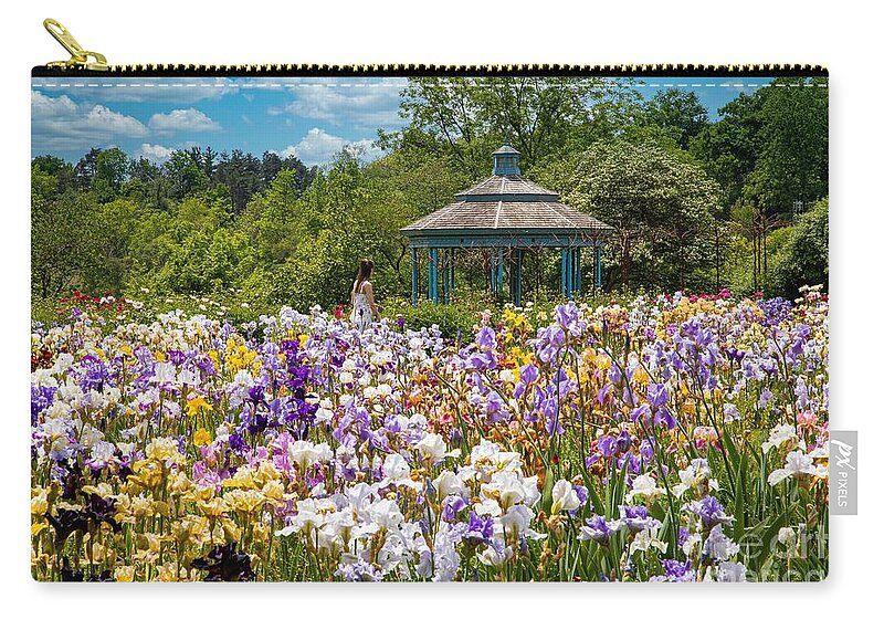 Rbg Zip Pouch featuring the photograph Dance of the Irises by Marilyn Cornwell