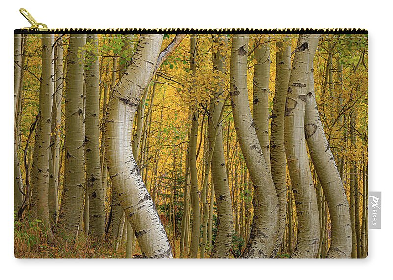 Colorado Carry-all Pouch featuring the photograph Dancing Aspens by David Downs