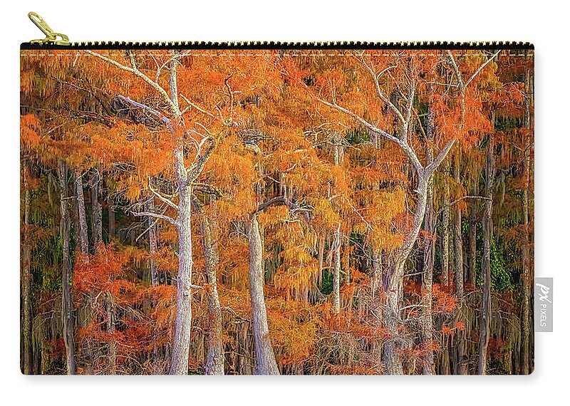 Fall Zip Pouch featuring the photograph Dancing Cypress by David Downs