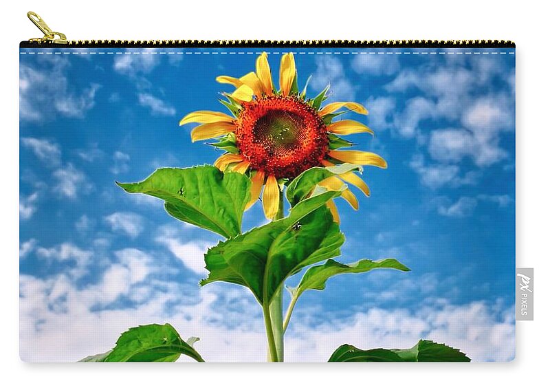 Yellow Carry-all Pouch featuring the photograph Dancing Desert Sunflower by Judy Kennedy