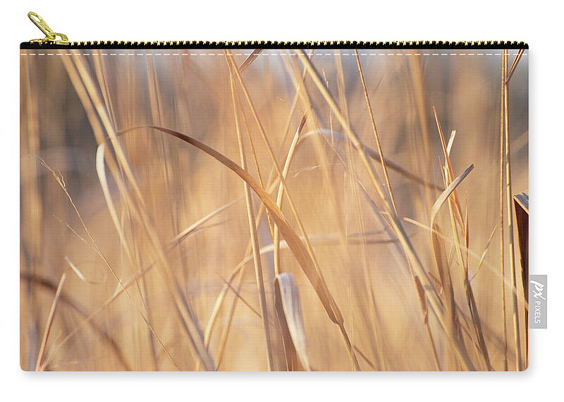 Seagrass Carry-all Pouch featuring the photograph Dancing Seagrass by Stacy Abbott