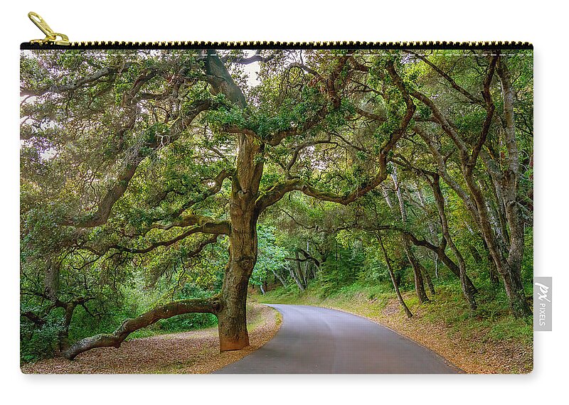 Dancing Tree Zip Pouch featuring the photograph Dancing Tree by Derek Dean