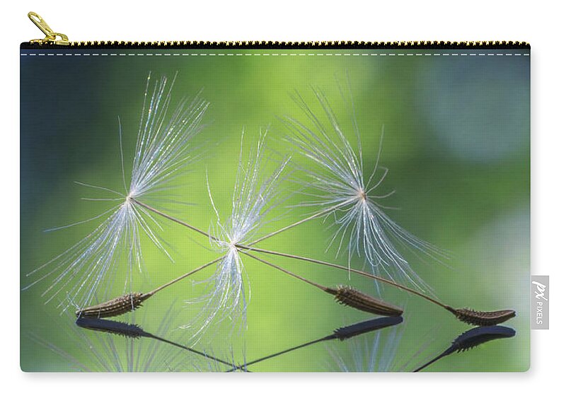 Dandelion Zip Pouch featuring the photograph Dandelion Seed Triplet by Framing Places