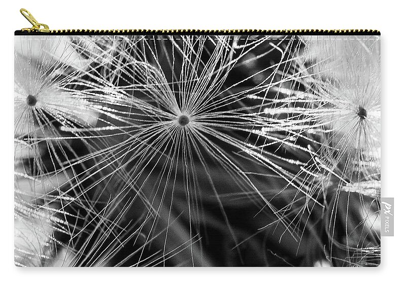 Plants Zip Pouch featuring the photograph Dandelions Clock by Louis Dallara