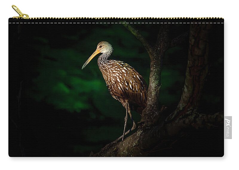 Limpkin Zip Pouch featuring the photograph Dark Forest Limpkin by Mark Andrew Thomas