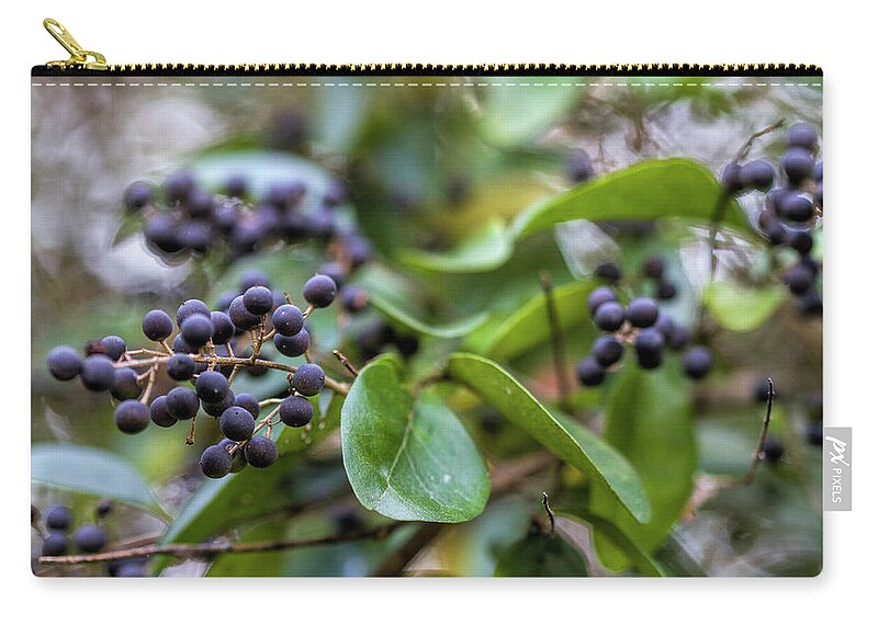 Chinese Privet Zip Pouch featuring the photograph Dark Purple Chinese Privet Berries by Kathy Clark