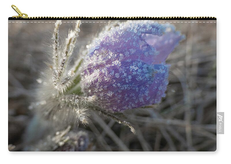 Frost Carry-all Pouch featuring the photograph Dawn Frost On A Spring Crocus by Karen Rispin