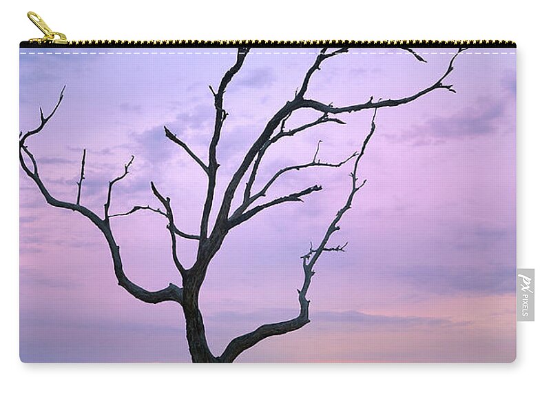 Nature Zip Pouch featuring the photograph Dawn on Jekyll Island by Jon Glaser