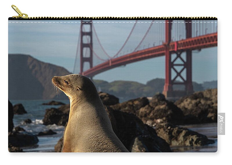 Seal Zip Pouch featuring the photograph Day Dreamer by Bryan Xavier