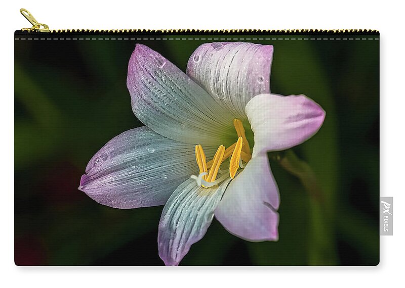  Carry-all Pouch featuring the photograph Day Lilly by Lou Novick