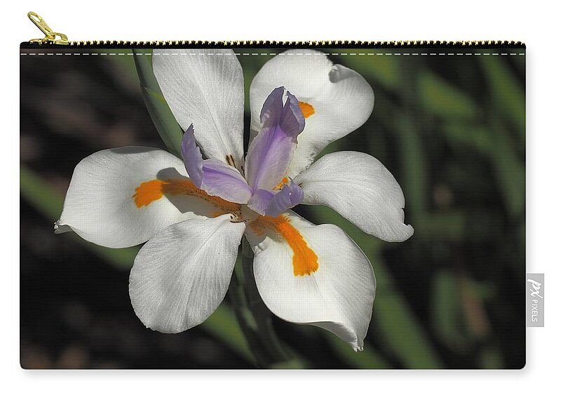 Botanical Zip Pouch featuring the photograph Day Lily Unfurled by Richard Thomas