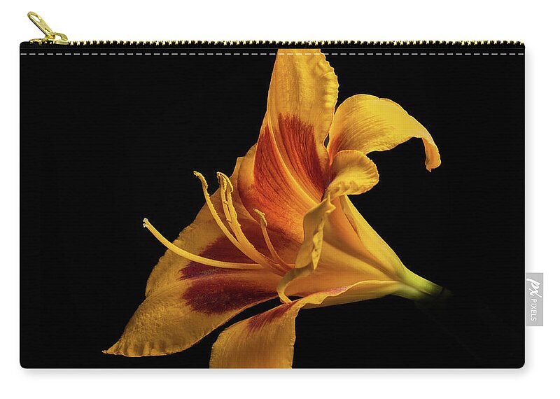 Hemerocallis Fulva Carry-all Pouch featuring the photograph Daylily at Night by Kevin Suttlehan