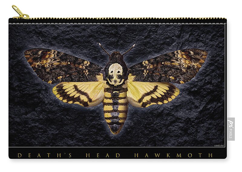 Death's-head Hawkmoth Zip Pouch featuring the photograph Deaths Head Hawk Moth Framed Version by Weston Westmoreland