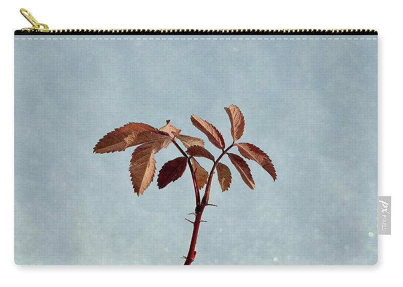  Zip Pouch featuring the photograph December rose by Nicola Finch