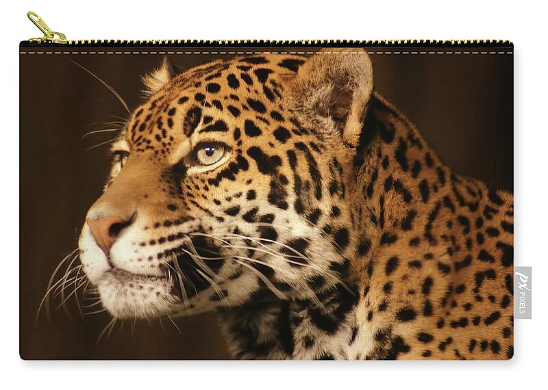 Jaguar Zip Pouch featuring the photograph Deep in Thought by Deb Beausoleil