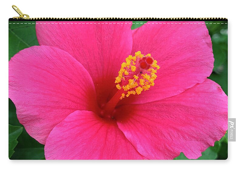 Hibiscus Zip Pouch featuring the photograph Deep Pink Hibiscus by CAC Graphics