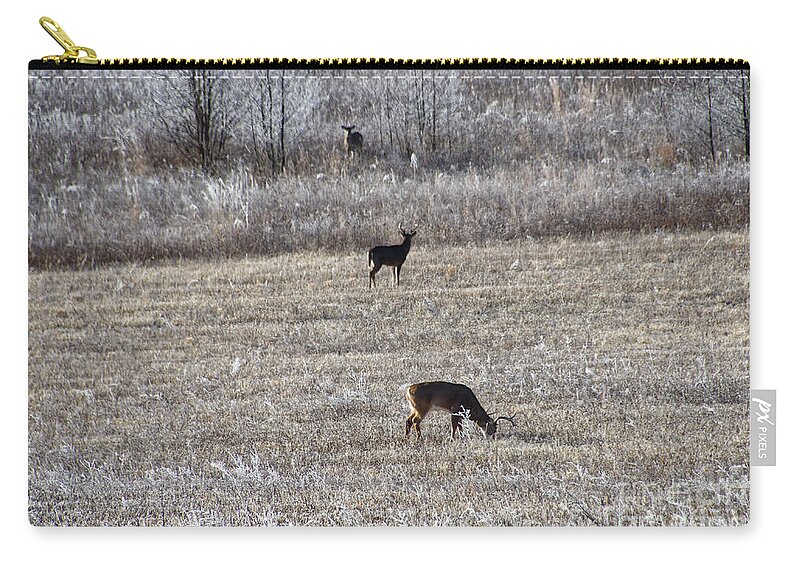 Cades Cove Zip Pouch featuring the photograph Deer Grazing by Phil Perkins