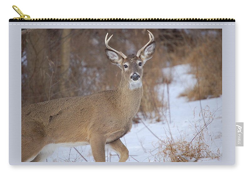 Deer Carry-all Pouch featuring the photograph Deer in Winter by Nancy Ayanna Wyatt
