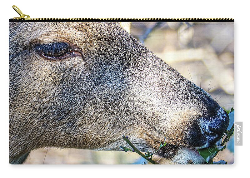 Deer Eye Green Leaves Close Zip Pouch featuring the photograph Deer by John Linnemeyer