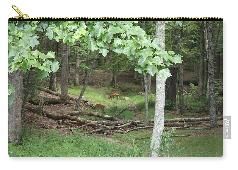 Deer Zip Pouch featuring the photograph Deer Unafraid by Lee Darnell
