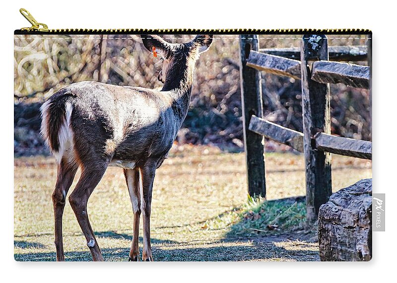 Deer Fence Zip Pouch featuring the photograph Deer3 by John Linnemeyer