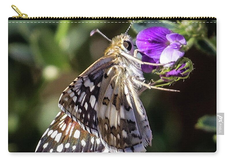 Butterfly Carry-all Pouch featuring the photograph Delicate Beauty by Laura Putman
