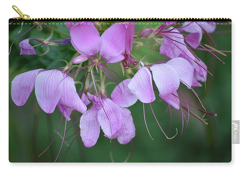 Flower Zip Pouch featuring the photograph Delicate Lavender Blooms by Marla McPherson