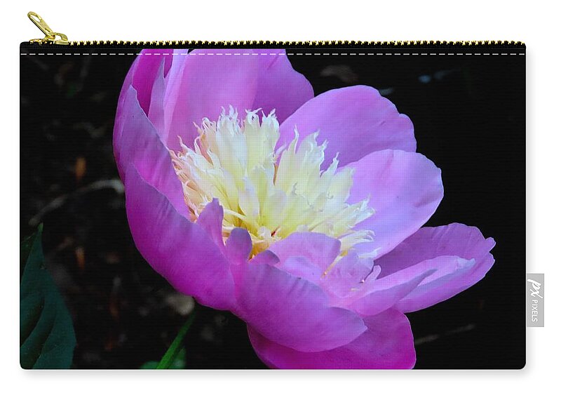 Garden Zip Pouch featuring the photograph Delicate Lavender Flower - Two by Linda Stern