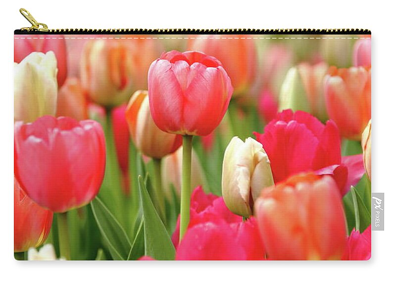 Nature Zip Pouch featuring the photograph Delicate by Lens Art Photography By Larry Trager