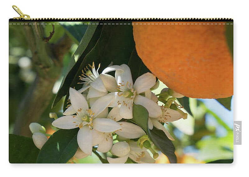 Orange Blossom Carry-all Pouch featuring the photograph White orange blossoms and ripe fruits, orange blossom in Spain by Adriana Mueller