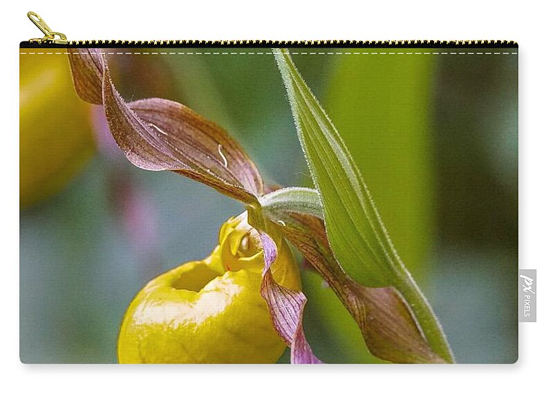 Flower Zip Pouch featuring the photograph Delicate Yellow Lady's Slipper by Susan Rydberg