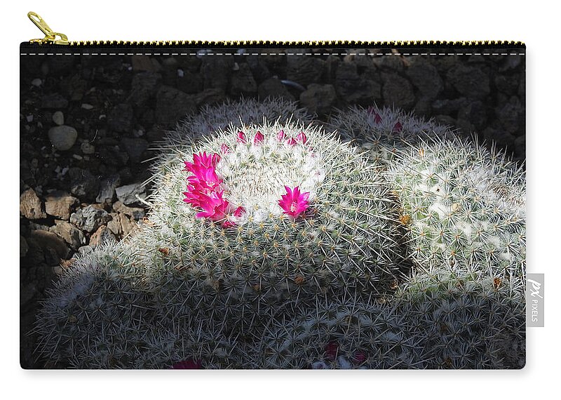 Desert Zip Pouch featuring the photograph Desert Cactus Flowers by Russel Considine