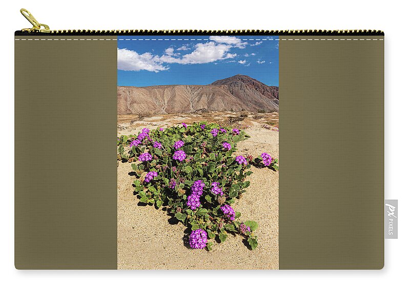 Anza - Borrego Desert State Park Zip Pouch featuring the photograph Desert Sand Verbena by Peter Tellone