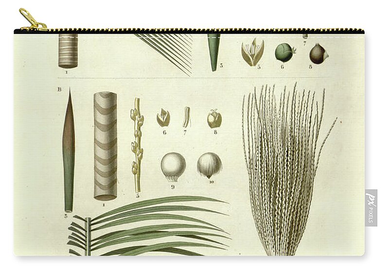 Details Zip Pouch featuring the photograph details of Palm tree parts u5 by Botany