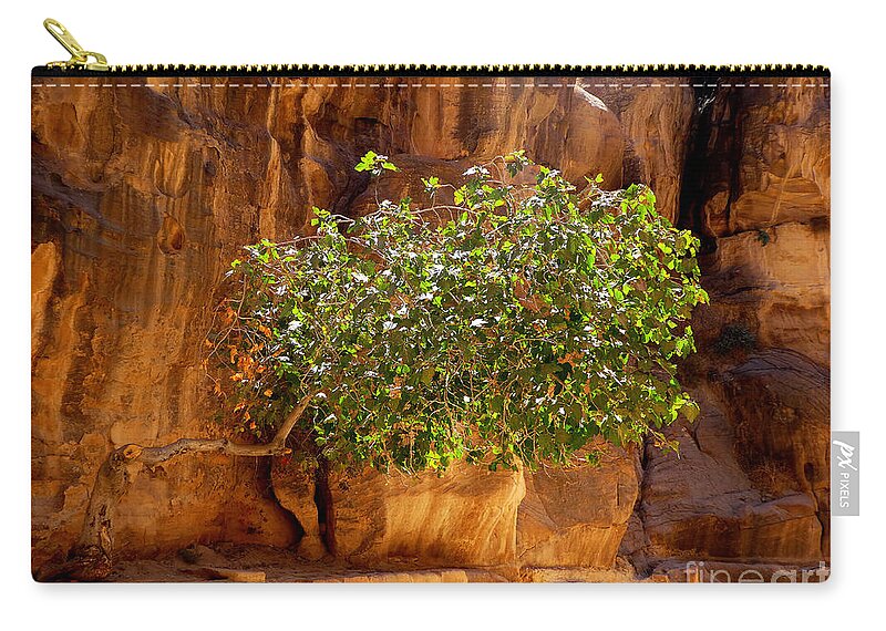 Tree Zip Pouch featuring the photograph Determined Tree by Tina Mitchell