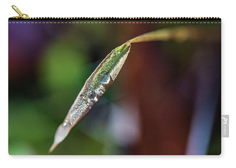 Nature Zip Pouch featuring the photograph Dew Drops on a Leaf by Amelia Pearn