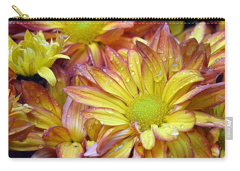 Daisy Carry-all Pouch featuring the photograph Dewy Pink and Yellow Daisies 2 by Amy Fose