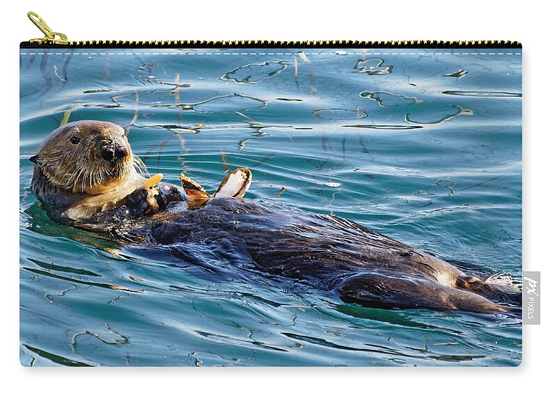 Kj Swan Aquatic Animals Zip Pouch featuring the photograph Dining Al Fresco - Sea Otter by KJ Swan