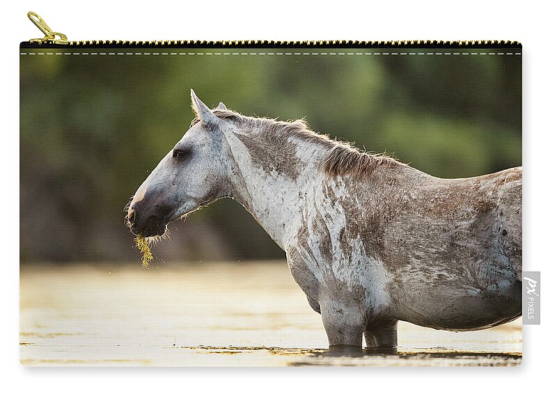Salt River Wild Horse Zip Pouch featuring the photograph Dirty Horse by Shannon Hastings