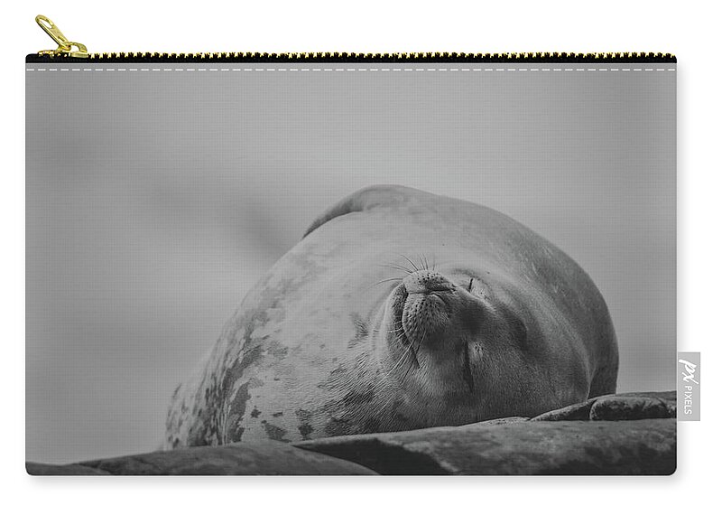 03feb20 Zip Pouch featuring the photograph Do Not Awaken - Makes Me Crabby BW by Jeff at JSJ Photography