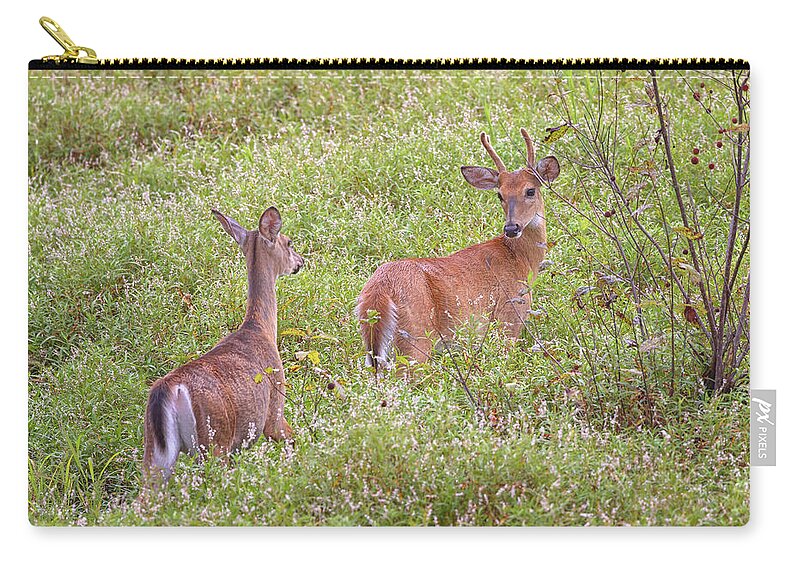 Whitetail Deer Zip Pouch featuring the photograph Doe Eyed by Susan Rissi Tregoning