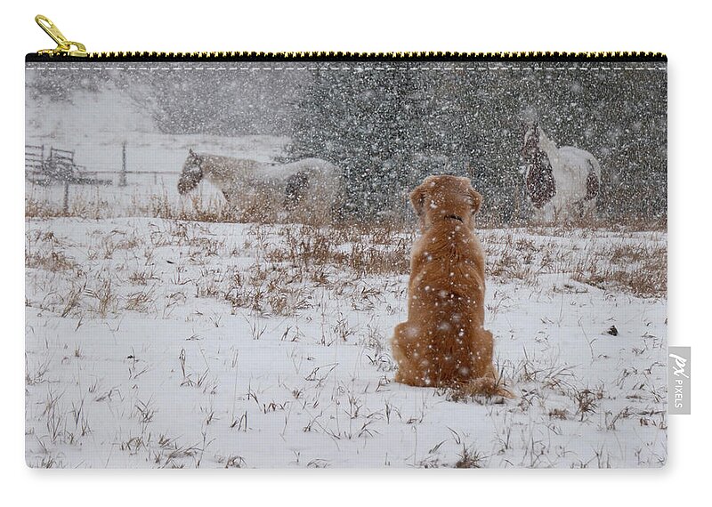 Snow Carry-all Pouch featuring the photograph Dog And Horses In The Snow by Karen Rispin