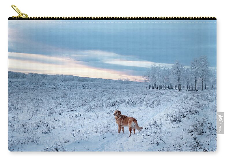 Dog Carry-all Pouch featuring the photograph Dog in an Alberta winter pasture by Karen Rispin
