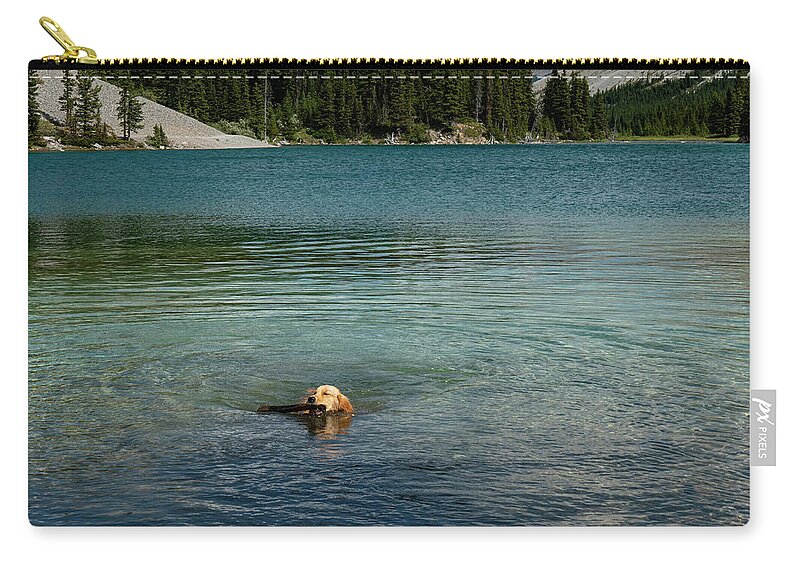 Dog Carry-all Pouch featuring the photograph Dog in Elbow Lake, Alberta by Karen Rispin