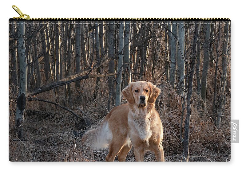 Dog Carry-all Pouch featuring the photograph Dog In The Woods by Karen Rispin