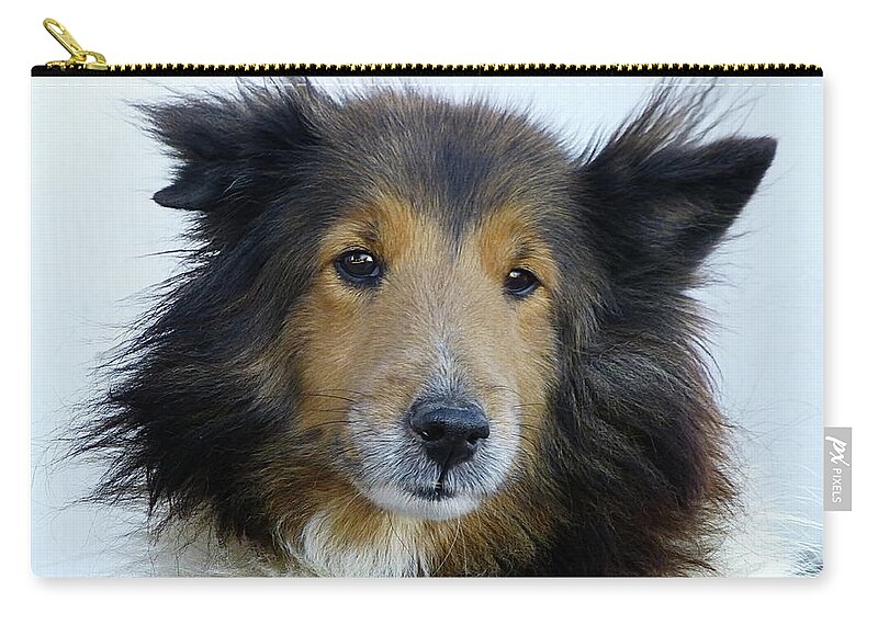 Dog Zip Pouch featuring the photograph Dog Portrait by Lyuba Filatova