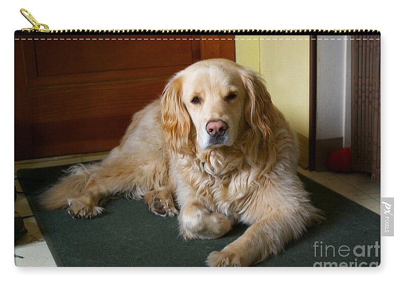 Animal Zip Pouch featuring the photograph Dog Waiting at the Door by Frank J Casella
